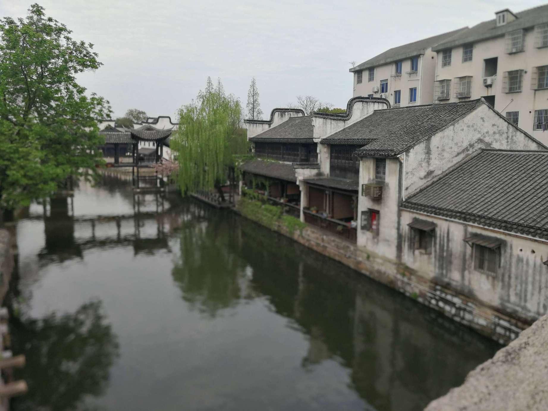 照顾小兔宝宝
